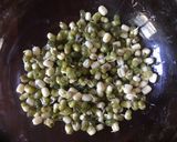 A picture of step 2 of California Farm Indoor Mung Bean Sprouts.
