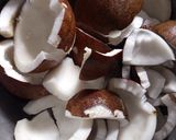 Foto langkah ke 1 dari resep 197. Minyak kelapa + blondo/galendo.