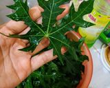 Foto langkah ke 1 dari resep Tumis daun pepaya jepang.