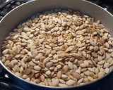 Foto del paso 5 de la receta: Pinole zacatecano