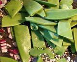 Zuckererbsen (Schoten) in Teriyakisauce Rezeptschritt 5 Foto