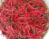 Foto langkah ke 2 dari resep 012. Sambal Baby Cumi Extra Hot 😤.