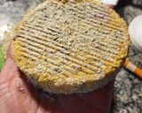 Foto del paso 13 de la receta: Hamburguesas de Mijo, Soja hongos y vegetales