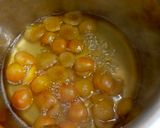 A picture of step 3 of Khubani Ka Meetha.