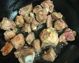A picture of step 2 of Balti Gosht.