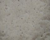 Foto langkah ke 2 dari resep Crust Pizza Tanpa Ulen (Slow Fermented).