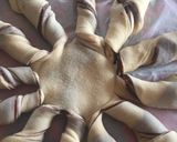 Φωτογραφία βήματος 2 της συνταγής Brioche λουλούδι με γέμιση... "περί ορέξεως..." 😋
