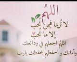 صورة لخطوة 43 من وصفة سبناكوبيته