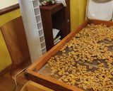 Foto del passaggio 7 della ricetta I miei tortellini 💛