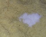 A picture of step 4 of Barbousha Biskria (Algerian Couscous).