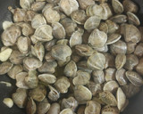 Foto del paso 2 de la receta: Almejas al ajillo