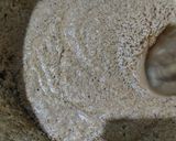 Foto langkah ke 3 dari resep Palm Sugar Banana Cake.