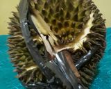 Foto langkah ke 3 dari resep KoLak Ketan Durian.