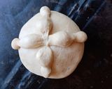 Foto del paso 4 de la receta: Pan de muerto
