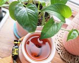 عکس مرحله 1 از دستور چای هل،دارچین