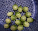 Foto langkah ke 3 dari resep Ikan Tembakang Cabe Hijau Ala Minang (Ikan Cabe Hijau).