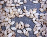 عکس مرحله 2 از دستور تخمه کدو بو داده خانگی