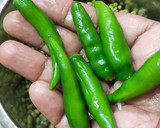 பெசரட் தோசை ரெசிபி ஸ்டேப் 2 புகைப்படம்