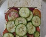 વેજીટેબલ મેયોનીઝ સેન્ડવીચ (Vegetable Mayonnaise Sandwich Recipe In Gujarati) રેસીપી સ્ટેપ3ફોટો