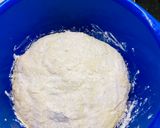 A picture of step 4 of No-Knead Bread Made with Extra Sour Yogurt.