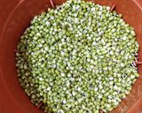 मुग बीन स्प्राऊट्स (mung beans sprouts recipe in marathi)_ रेसिपी स्टेप 5 फोटो 