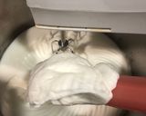 生酮版提拉米蘇蛋糕卷的食譜步驟4照片