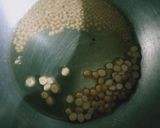A picture of step 2 of Peanut chutney.