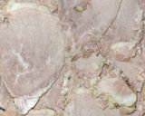Foto del paso 4 de la receta: 🥩 Vitel Toné Clásico