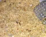 Foto langkah ke 2 dari resep Urap sayur simple.
