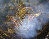 Foto langkah ke 1 dari resep Ikan asin cabe garam.