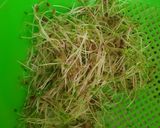 Foto del paso 3 de la receta: 🌱👩🏻🌾 Germinados en casa de Chía y lino