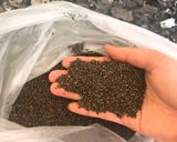 Hình bước làm 2 của món Xôi vừng đen dân tộc