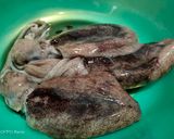 Foto langkah ke 1 dari resep Cumi Masak Hitam ala Chef Muhammad.
