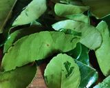 Foto langkah ke 2 dari resep Tempe Krispi Daun Jeruk.