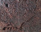 Foto del paso 10 de la receta: Tarta Sacher (Sachertorte)