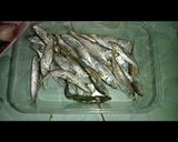 Foto langkah ke 2 dari resep Oseng Pindang Sambel Ijo.