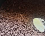 Foto del paso 2 de la receta: Muffins de chocolate y mora low carb