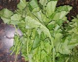 A picture of step 1 of Sarson ka saag.