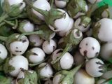 Cà muối sỏi