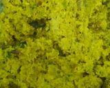 A picture of step 4 of Sprouted Finger Millet Stuff Paratha.
