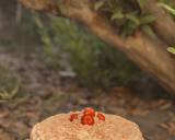 Delicious Strawberry Cake recipe step 16 photo