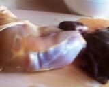 Libazsíron sütve kacsamájjal töltve kicsontozott csirkecombok recept fázis 1 fotója