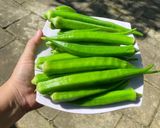 Hình bước làm 1 của món Đậu bắp luộc