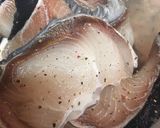Foto del paso 1 de la receta: Emperador sobre lecho de patatas, cebolla y manzana con cúrcuma