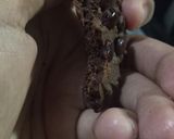 Foto langkah ke 5 dari resep Coklat chocochips cookies.