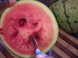 Watermelon Sorbet