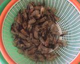 Foto langkah ke 2 dari resep Sop bola2 udang dengan kaldu udang.
