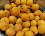 Apricot Popsicles recipe step 2 photo