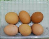 Foto langkah ke 1 dari resep Lodeh Telur Tempe.