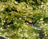 Foto langkah ke 3 dari resep Sambal Lombok Ijo.